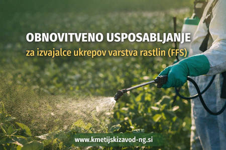 Obnovitveno usposabljanje FFS, Vir: umetna inteligenca (OpenAI)