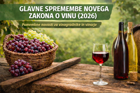 Spremembe Zakona o vinu 2026, grozdje in vino, Vir: UI