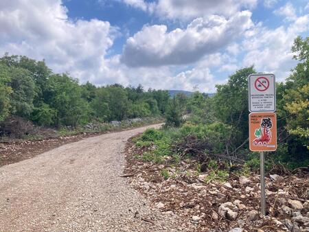 Protipožarna preseka, Vir: Arhiv Občine Sežana