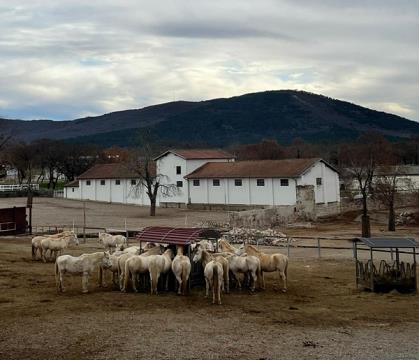 ba7afeef-6ce4-44ca-b211-15125a7d61bf_c6