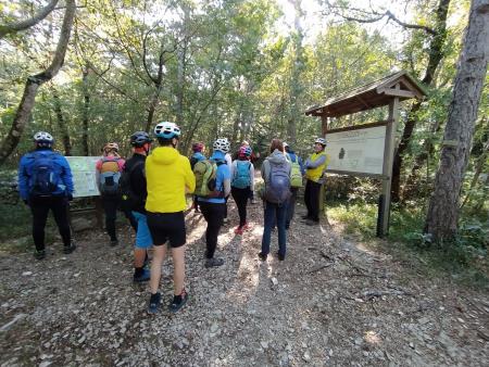 Čezmejna kolesarska tura