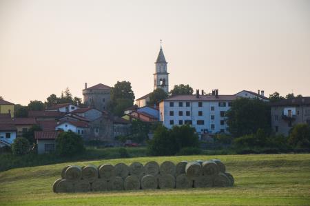 Lokev, arhiv TIC, foto Sindi Stor