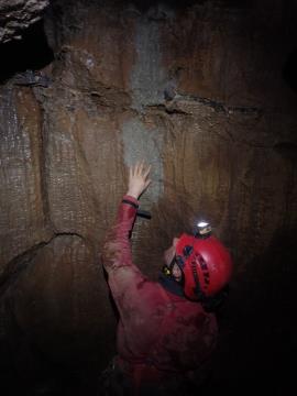 Jama, ki so jo odkrili med gradnjo drugega tira. Vir: Inštitut za raziskovanje Krasa ZRC SAZU