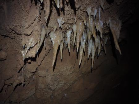 Jama, ki so jo odkrili med gradnjo drugega tira. Vir: Inštitut za raziskovanje Krasa ZRC SAZU