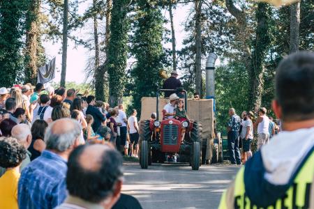 Praznik terana in pršuta; Vir: Visit Kras
