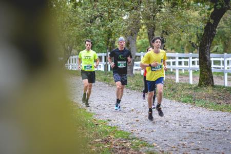 Tekači, Foto: Tadej Štolfa