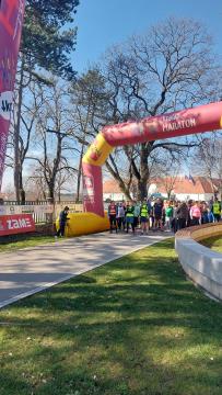 Štart; Vir: Kobilarna Lipica