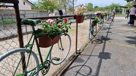 Praznik Sv. Križa, Vir: Mojca Babuder