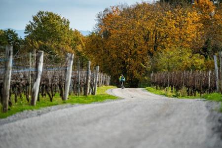 Regijska kolesarska povezava na Krasu; Foto: Alen Franetič - Berg8-media