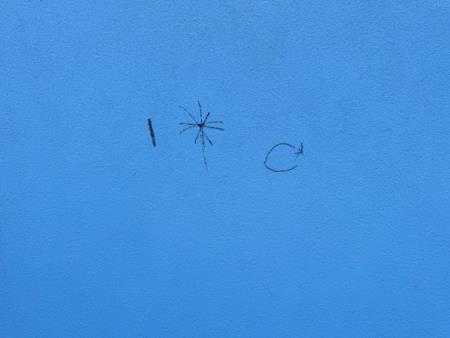 Vandalizem na prenovljeni športni dvorani; Vir: Občina Sežana