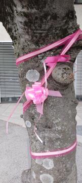 Rožnati oktober z Europa Donna, Vir: Arhiv Občine Sežana