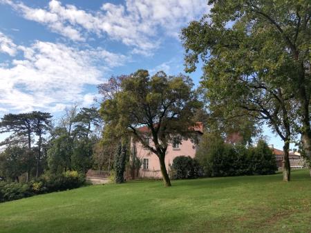 Lipica 02; vir: RV3.