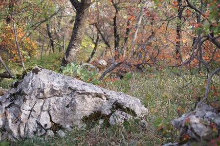 3_kamnitakraskagmajna_TTrampus