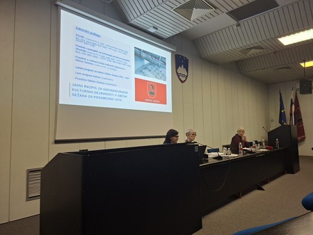 Posvet za NVO s področja kulture; Vir: Občina Sežana