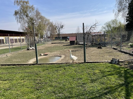 Ekskurziji v okviru projekta GET-IN, Vir: Arhiv Občine Sežana