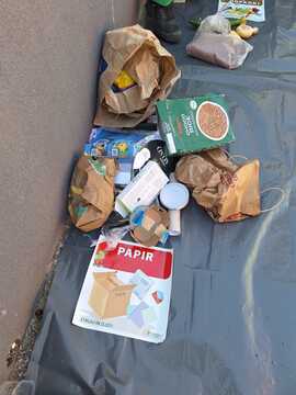 Zabojnik z odpadki, Vir: Komunala Sežana