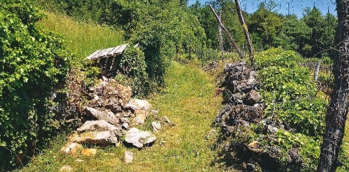 Dol pri Vogljah - prej