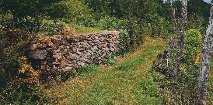 Dol pri Vogljah - potem